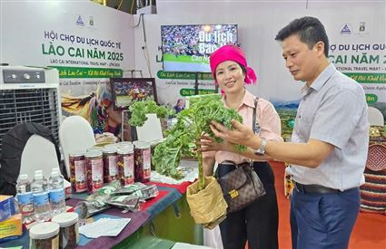 Lào Cai: Tổ chức Hội chợ Du lịch Tây Bắc năm 2026 và Không gian quảng bá, kết nối sản phẩm OCOP