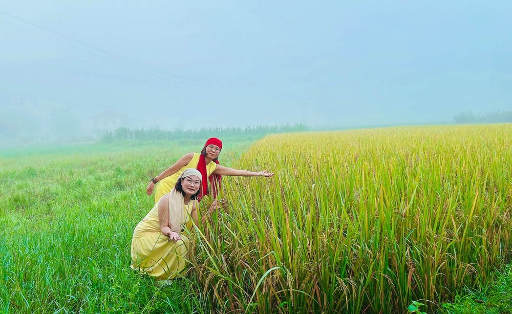 Những điểm đến khiến hành trình cuối năm thêm đáng nhớ - ảnh 3