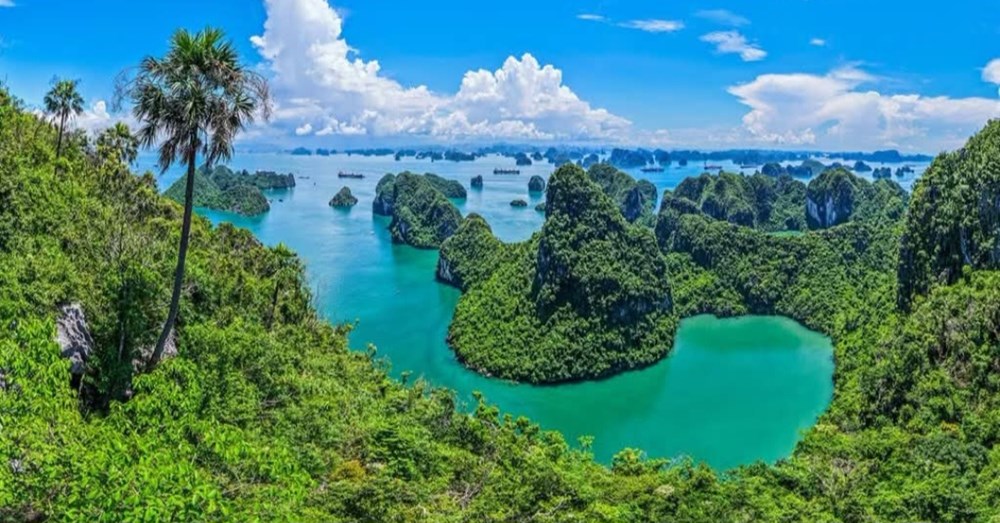 Quảng Ninh: Quyết tâm dồn lực cho du lịch cao điểm mùa Thu – Đông - ảnh 4