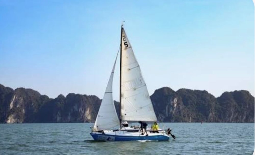 Quảng Ninh: Sắp diễn ra giải đua thuyền buồm quốc tế Hạ Long - ảnh 1